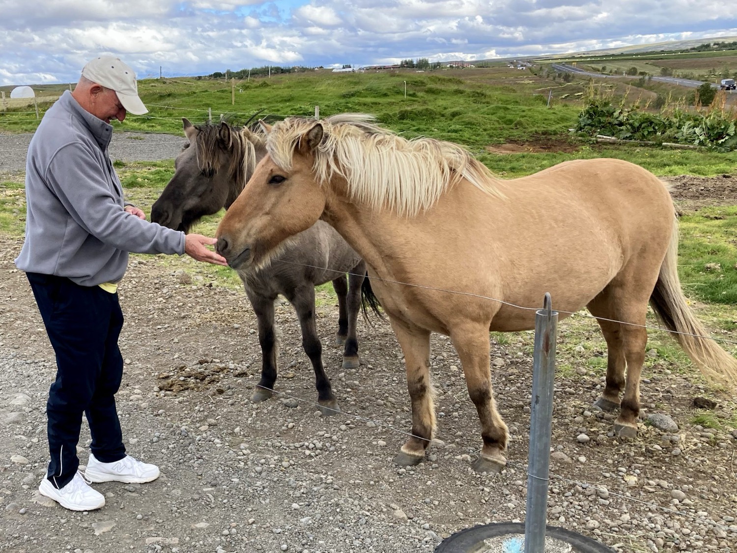 Saying hello to Icelandic horses