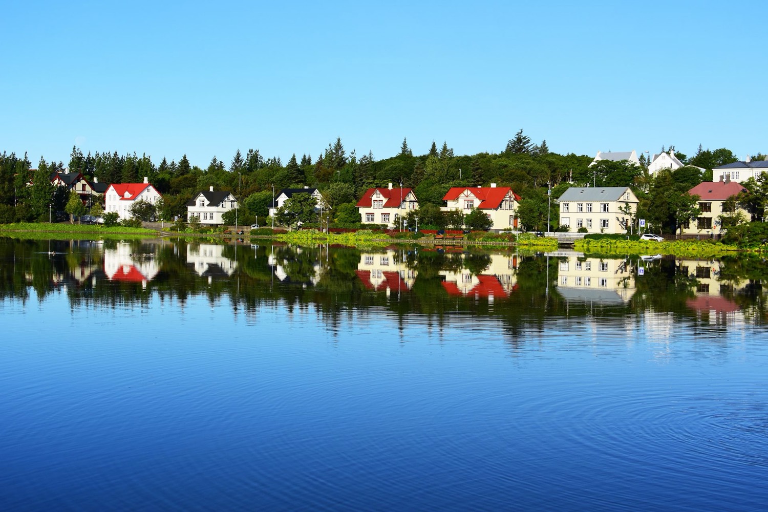 Tjörnin, the pond in central Reykjavík